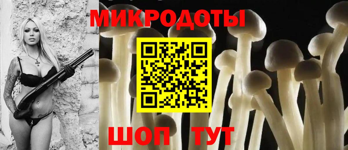 Галлюциногенные грибы ЛСД Горно-Алтайск