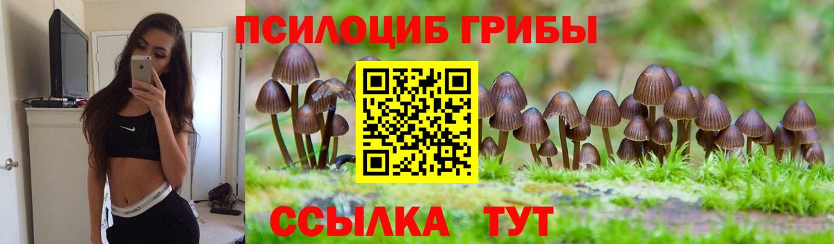 дарнет шоп  Галлюциногенные грибы мухоморы  Галлюциногенные грибы Psilocybine cubensis  Вход с VPN  Горно-Алтайск 